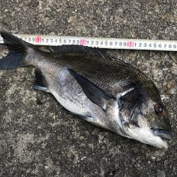 久しぶりの釣行！