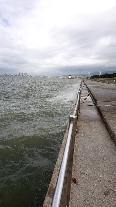 台風直後