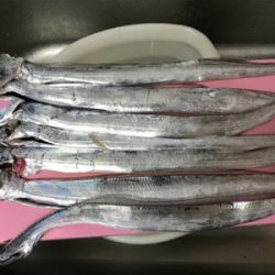 ウキ釣りが好きなのでウキ釣り