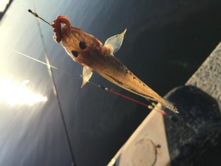 ハゼの天ぷらが食べたくて！