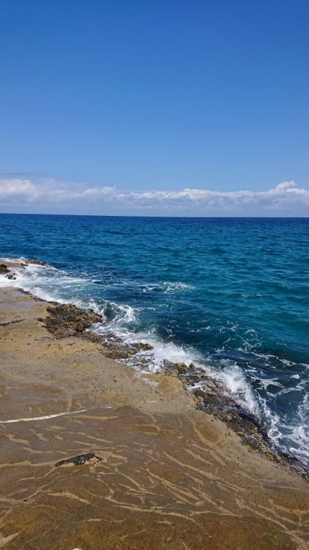 きれいな海を大切に