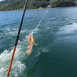 青物  ジギング  明石海峡大橋