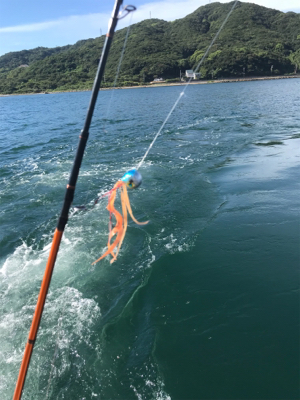 青物  ジギング  明石海峡大橋