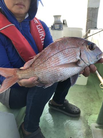 千宝丸 釣果