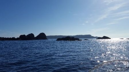 海峰 釣果