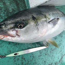 広進丸 釣果