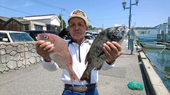 まこと渡船 釣果