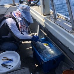 幸風（さちかぜ） 釣果