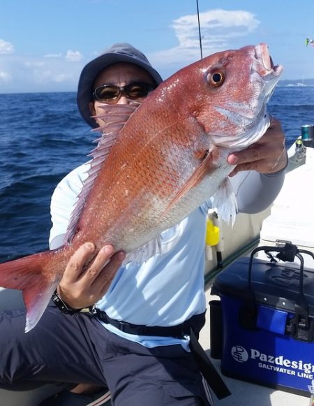 めだか屋 釣果