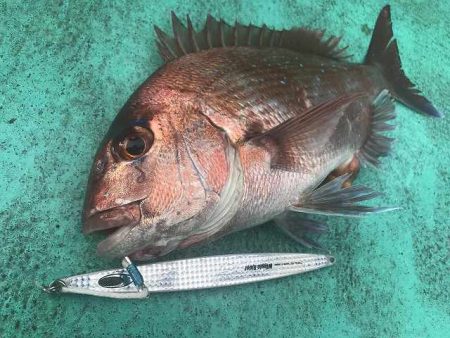 広進丸 釣果