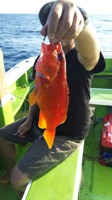 松栄丸 釣果