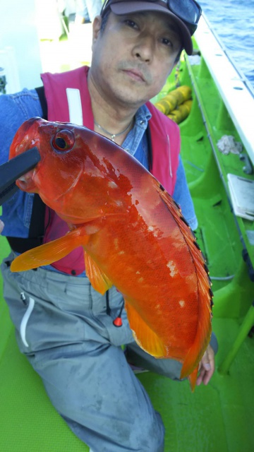 松栄丸 釣果