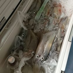 宝生丸 釣果