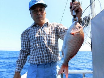 鯛紅丸 釣果