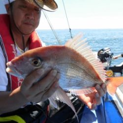 鯛紅丸 釣果