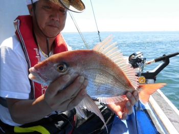 鯛紅丸 釣果