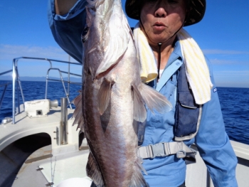 鯛紅丸 釣果