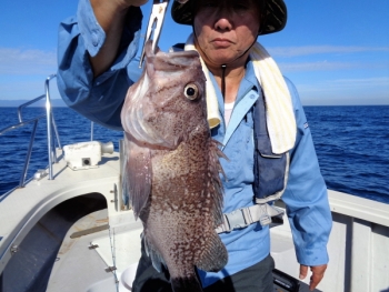 鯛紅丸 釣果