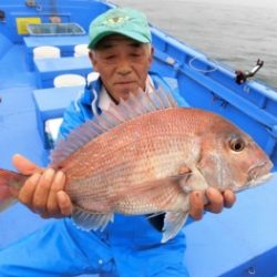 鯛紅丸 釣果