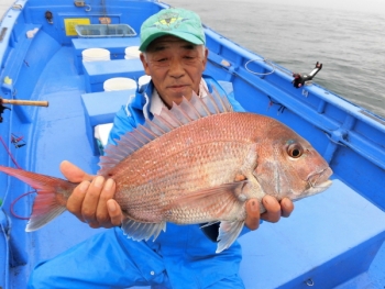 鯛紅丸 釣果