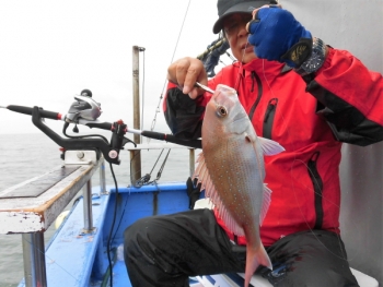 鯛紅丸 釣果