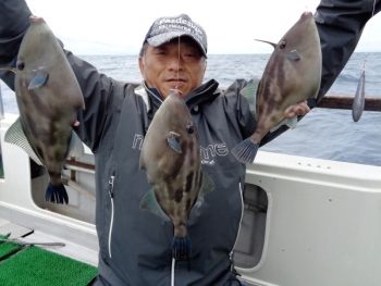 鯛紅丸 釣果