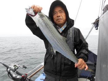 鯛紅丸 釣果