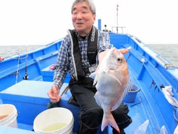 鯛紅丸 釣果