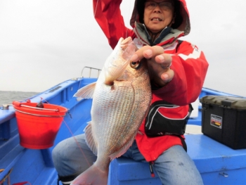 鯛紅丸 釣果