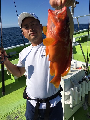 松栄丸 釣果