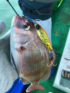 利弥丸（としやまる） 釣果