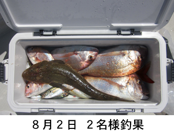 来温丸（らいおんまる） 釣果