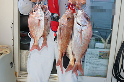 松本釣船２ 釣果