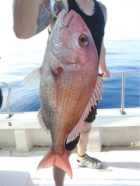 マタウマリンサービス 釣果