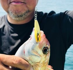 利弥丸（としやまる） 釣果