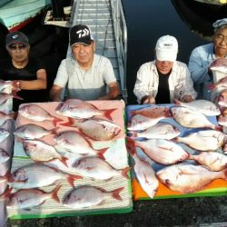 横内丸 釣果