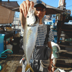 荒川屋 釣果