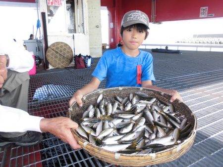 尼崎市立魚つり公園 釣果