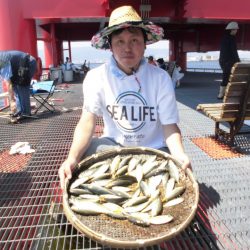 尼崎市立魚つり公園 釣果