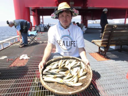 尼崎市立魚つり公園 釣果