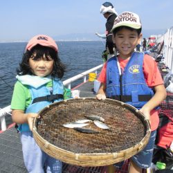 尼崎市立魚つり公園 釣果