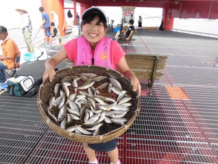 尼崎市立魚つり公園 釣果