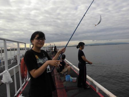 尼崎市立魚つり公園 釣果