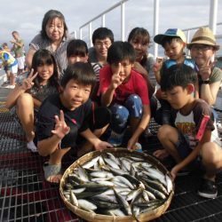 尼崎市立魚つり公園 釣果