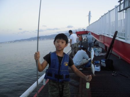 尼崎市立魚つり公園 釣果