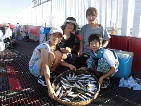 尼崎市立魚つり公園 釣果