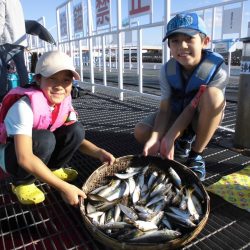 尼崎市立魚つり公園 釣果