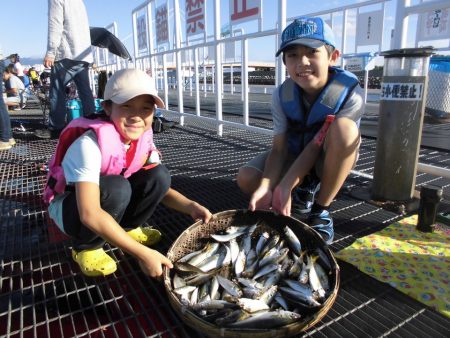 尼崎市立魚つり公園 釣果