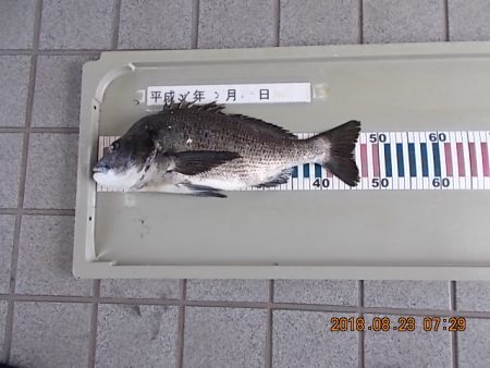 姫路市立遊魚センター 釣果