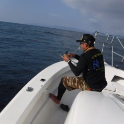 ＢｌｕｅＮｏｔｅ　Ｆｉｓｈｉｎｇ　Ｔａｘｉ 釣果